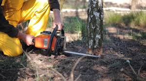 Best Stump Grinding and Removal  in Chattahoochee Hills, GA