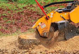 Best Lawn Maintenance Plans  in Chattahoochee Hills, GA