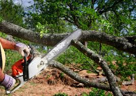 Best Pest Control for Lawns  in Chattahoochee Hills, GA